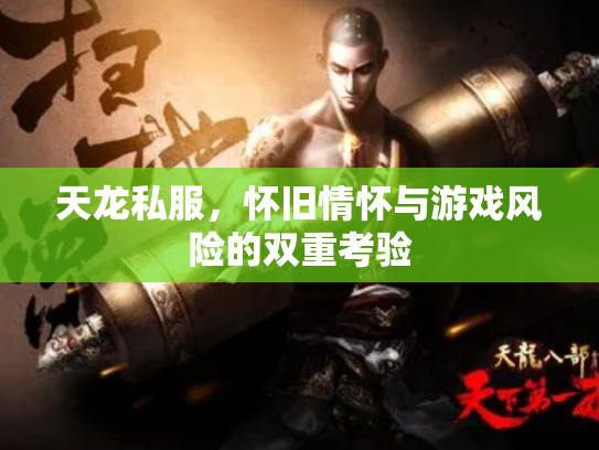 天龙私服，怀旧情怀与游戏风险的双重考验