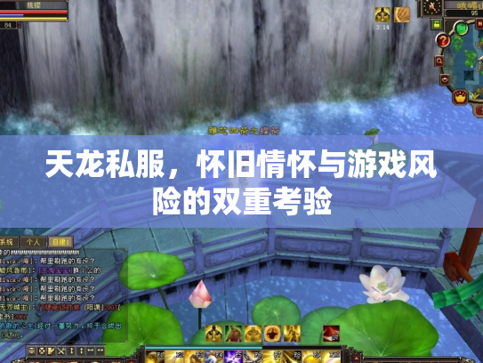 天龙私服，怀旧情怀与游戏风险的双重考验