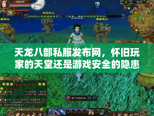 天龙八部私服发布网，怀旧玩家的天堂还是游戏安全的隐患？
