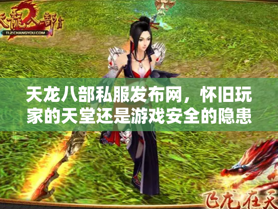 天龙八部私服发布网，怀旧玩家的天堂还是游戏安全的隐患？