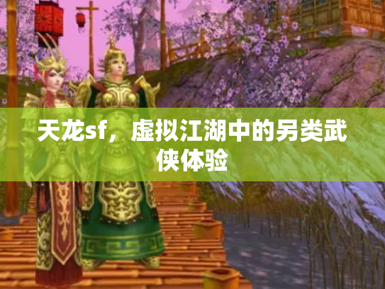 天龙sf，虚拟江湖中的另类武侠体验