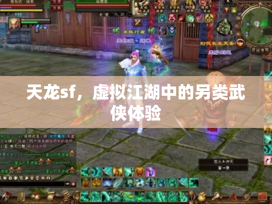 天龙sf，虚拟江湖中的另类武侠体验