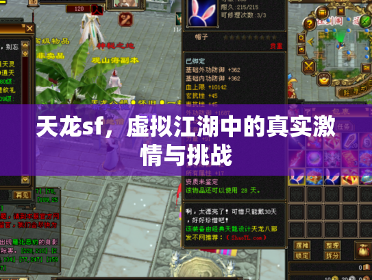 天龙sf，虚拟江湖中的真实激情与挑战