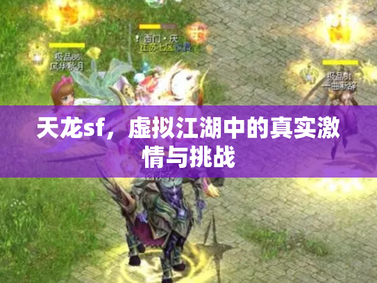 天龙sf，虚拟江湖中的真实激情与挑战