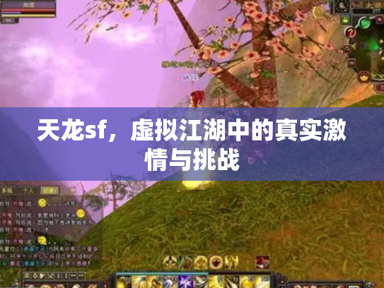 天龙sf，虚拟江湖中的真实激情与挑战