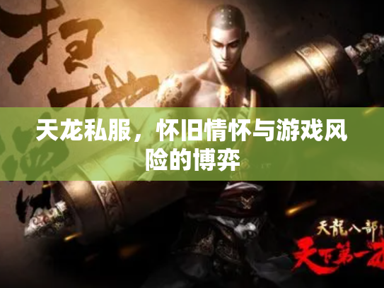 天龙私服，怀旧情怀与游戏风险的博弈