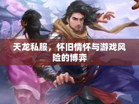 天龙私服，怀旧情怀与游戏风险的博弈