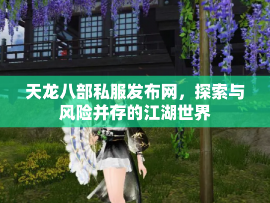 天龙八部私服发布网，探索与风险并存的江湖世界