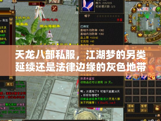天龙八部私服，江湖梦的另类延续还是法律边缘的灰色地带？