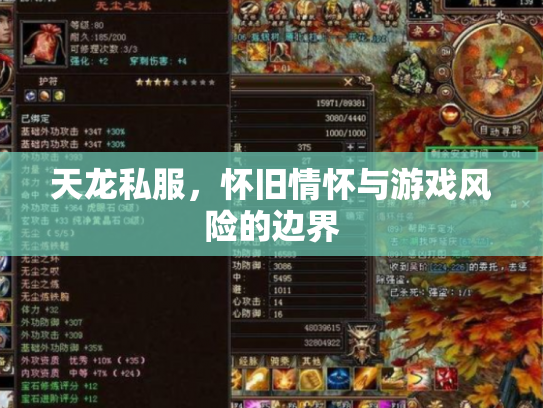 天龙私服，怀旧情怀与游戏风险的边界