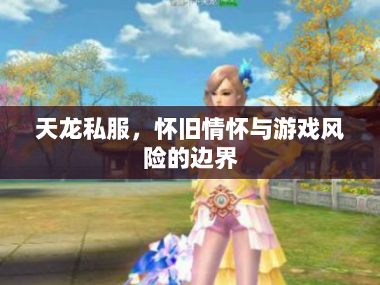 天龙私服，怀旧情怀与游戏风险的边界