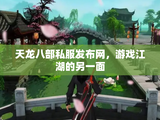 天龙八部私服发布网，游戏江湖的另一面