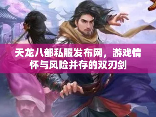 天龙八部私服发布网，游戏情怀与风险并存的双刃剑