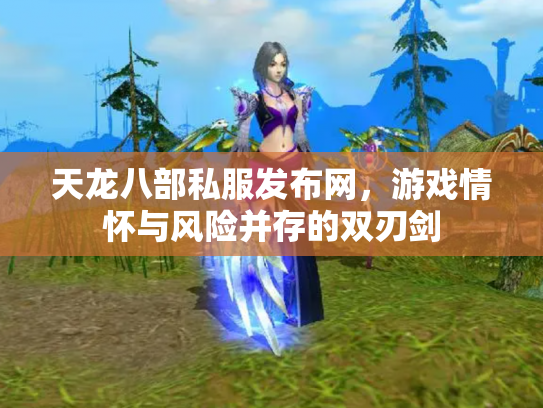 天龙八部私服发布网，游戏情怀与风险并存的双刃剑