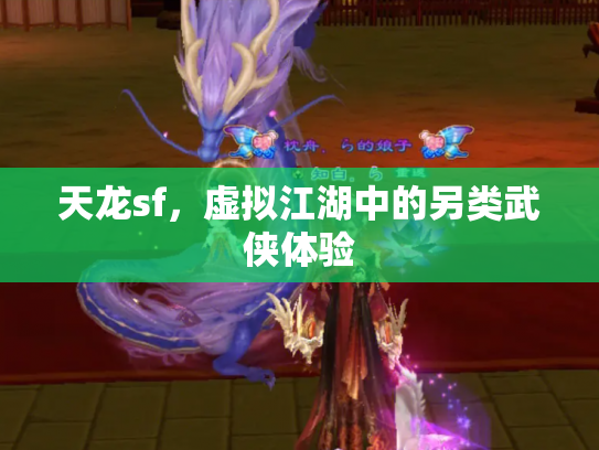 天龙sf，虚拟江湖中的另类武侠体验