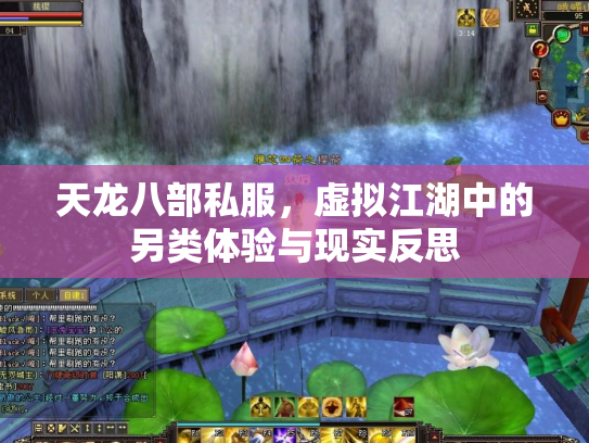 天龙八部私服，虚拟江湖中的另类体验与现实反思
