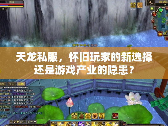 天龙私服，怀旧玩家的新选择还是游戏产业的隐患？
