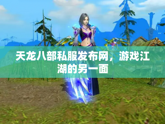 天龙八部私服发布网，游戏江湖的另一面