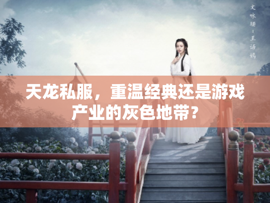 天龙私服，重温经典还是游戏产业的灰色地带？