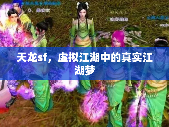 天龙sf，虚拟江湖中的真实江湖梦
