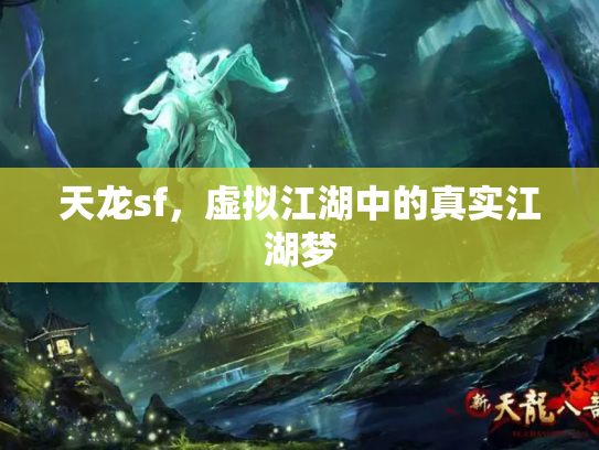 天龙sf，虚拟江湖中的真实江湖梦