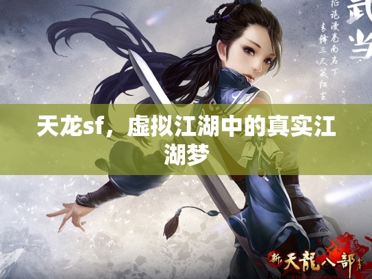 天龙sf，虚拟江湖中的真实江湖梦