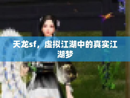天龙sf，虚拟江湖中的真实江湖梦