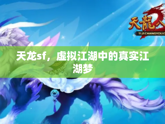 天龙sf，虚拟江湖中的真实江湖梦