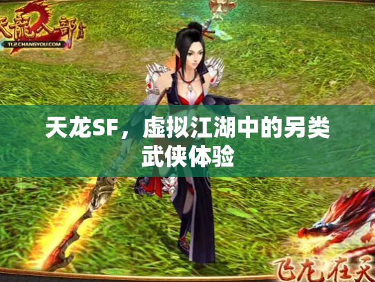 天龙SF，虚拟江湖中的另类武侠体验