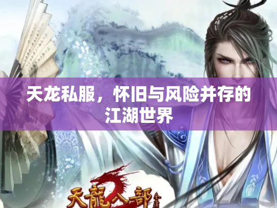 天龙私服，怀旧与风险并存的江湖世界