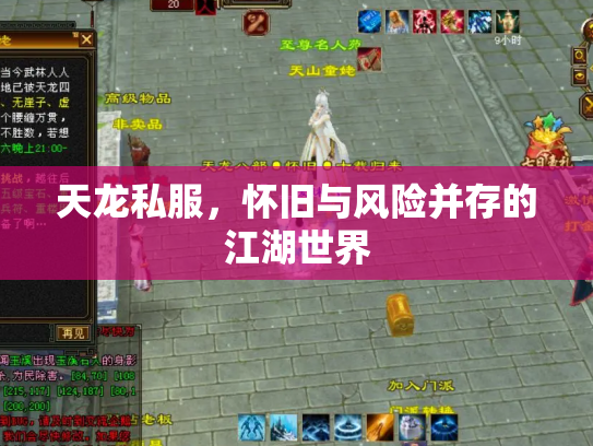 天龙私服，怀旧与风险并存的江湖世界
