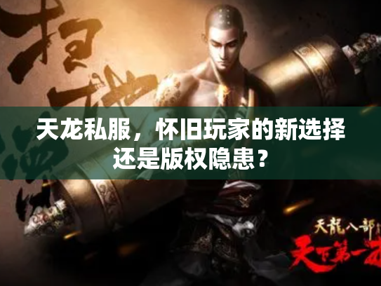 天龙私服，怀旧玩家的新选择还是版权隐患？