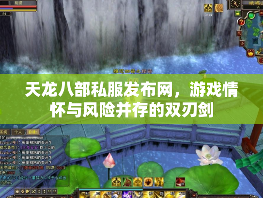天龙八部私服发布网，游戏情怀与风险并存的双刃剑