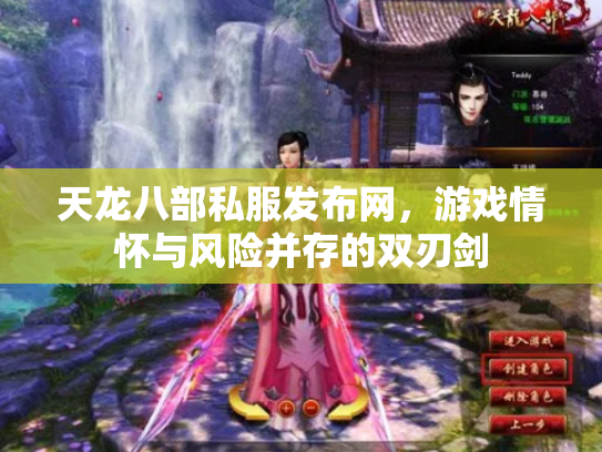 天龙八部私服发布网，游戏情怀与风险并存的双刃剑