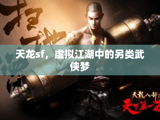 天龙sf，虚拟江湖中的另类武侠梦
