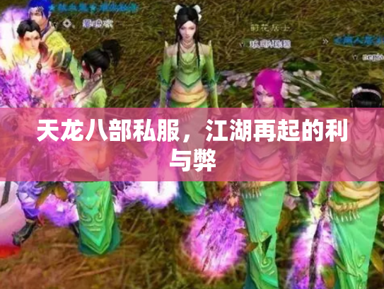 天龙八部私服，江湖再起的利与弊
