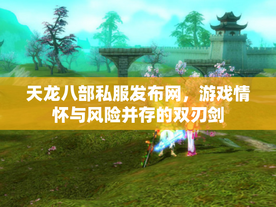 天龙八部私服发布网，游戏情怀与风险并存的双刃剑