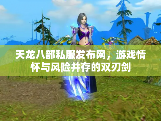 天龙八部私服发布网，游戏情怀与风险并存的双刃剑