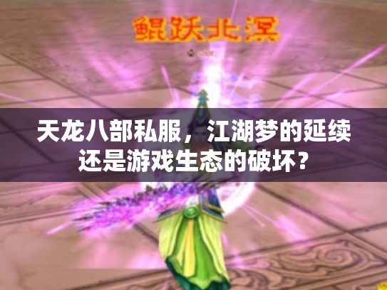 天龙八部私服，江湖梦的延续还是游戏生态的破坏？