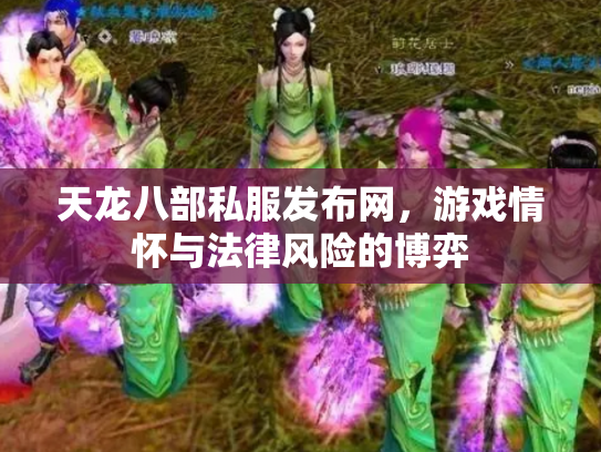 天龙八部私服发布网，游戏情怀与法律风险的博弈