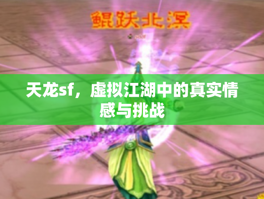 天龙sf，虚拟江湖中的真实情感与挑战