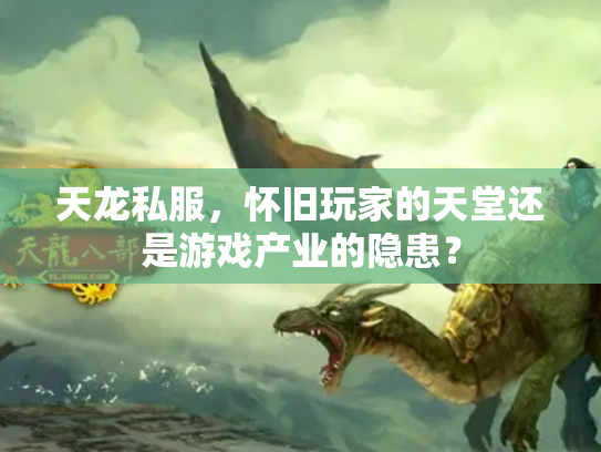 天龙私服，怀旧玩家的天堂还是游戏产业的隐患？