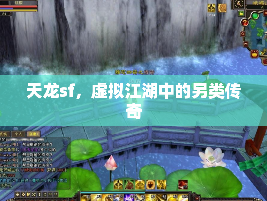 天龙sf，虚拟江湖中的另类传奇