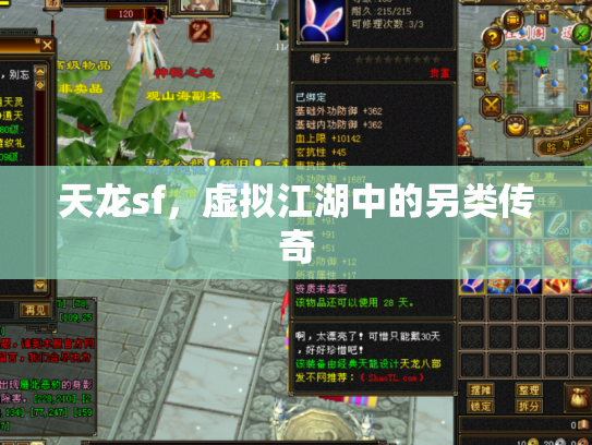 天龙sf，虚拟江湖中的另类传奇