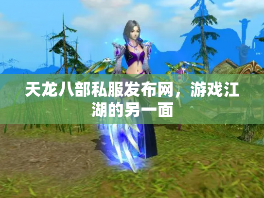 天龙八部私服发布网，游戏江湖的另一面