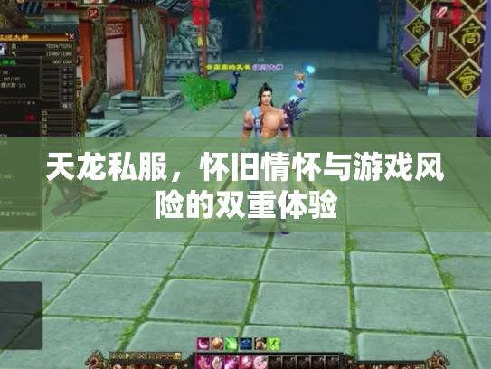 天龙私服，怀旧情怀与游戏风险的双重体验