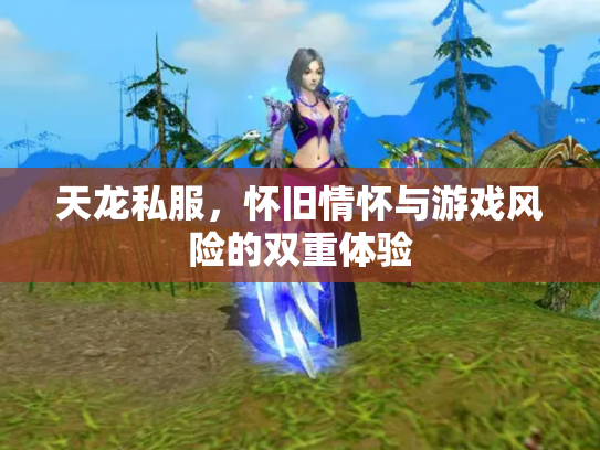 天龙私服，怀旧情怀与游戏风险的双重体验
