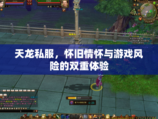 天龙私服，怀旧情怀与游戏风险的双重体验