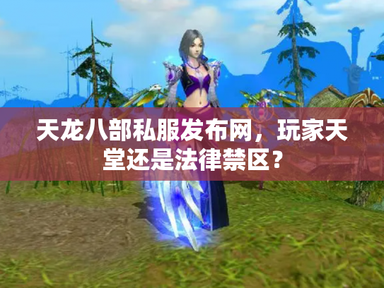 天龙八部私服发布网，玩家天堂还是法律禁区？