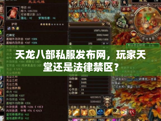 天龙八部私服发布网，玩家天堂还是法律禁区？